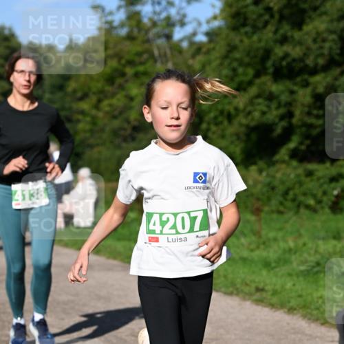 27.09.2026 - 35. Volkslauf durch das schöne Alstertal Dr. Thomas Lammeyer http://msf.ph/oto/10566364 27.09.2026 10:40:01 Laufen 4138, 4207 meine-sportfotos.de