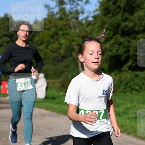 27.09.2026 - 35. Volkslauf durch das schöne Alstertal Dr. Thomas Lammeyer http://msf.ph/oto/10566365 27.09.2026 10:40:01 Laufen 4138, 47 meine-sportfotos.de