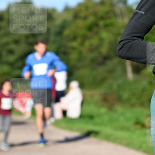 27.09.2026 - 35. Volkslauf durch das schöne Alstertal Dr. Thomas Lammeyer http://msf.ph/oto/10566371 27.09.2026 10:40:03 Laufen  meine-sportfotos.de