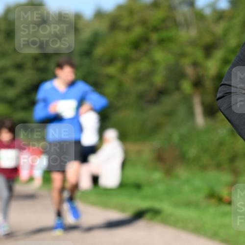 27.09.2026 - 35. Volkslauf durch das schöne Alstertal Dr. Thomas Lammeyer http://msf.ph/oto/10566372 27.09.2026 10:40:03 Laufen  meine-sportfotos.de