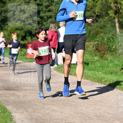 27.09.2026 - 35. Volkslauf durch das schöne Alstertal Dr. Thomas Lammeyer http://msf.ph/oto/10566374 27.09.2026 10:40:04 Laufen 4230, 231 meine-sportfotos.de