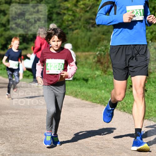 27.09.2026 - 35. Volkslauf durch das schöne Alstertal Dr. Thomas Lammeyer http://msf.ph/oto/10566382 27.09.2026 10:40:05 Laufen 4230, 31 meine-sportfotos.de