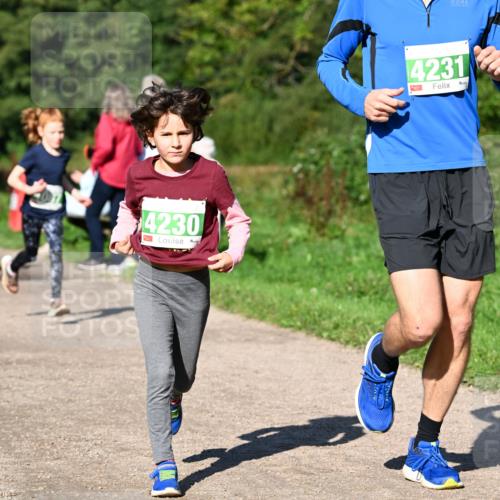 27.09.2026 - 35. Volkslauf durch das schöne Alstertal Dr. Thomas Lammeyer http://msf.ph/oto/10566383 27.09.2026 10:40:05 Laufen 4230, 4231 meine-sportfotos.de