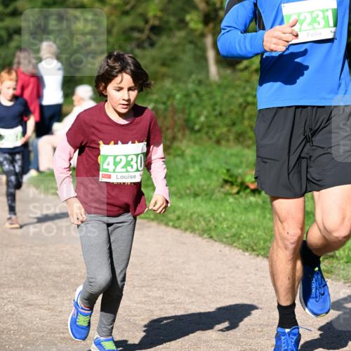 27.09.2026 - 35. Volkslauf durch das schöne Alstertal Dr. Thomas Lammeyer http://msf.ph/oto/10566387 27.09.2026 10:40:05 Laufen 4230, 231 meine-sportfotos.de