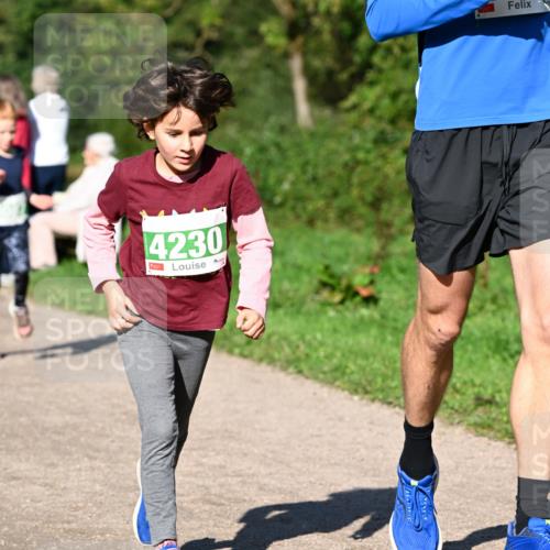 27.09.2026 - 35. Volkslauf durch das schöne Alstertal Dr. Thomas Lammeyer http://msf.ph/oto/10566388 27.09.2026 10:40:05 Laufen 4230 meine-sportfotos.de