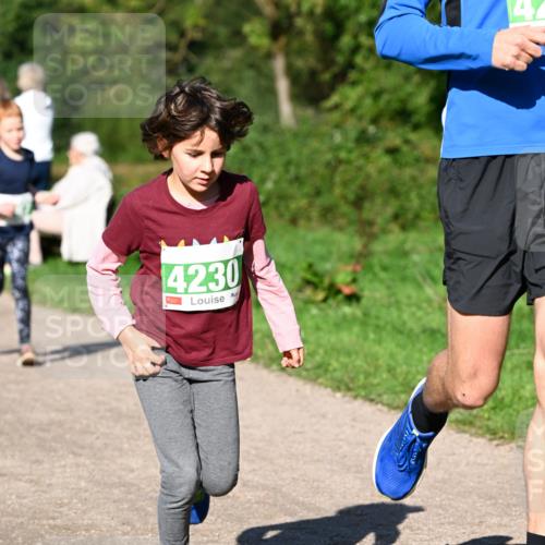 27.09.2026 - 35. Volkslauf durch das schöne Alstertal Dr. Thomas Lammeyer http://msf.ph/oto/10566390 27.09.2026 10:40:06 Laufen 4230 meine-sportfotos.de