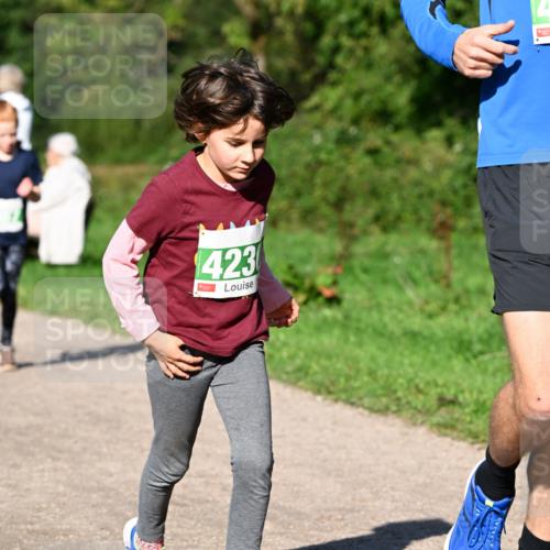 27.09.2026 - 35. Volkslauf durch das schöne Alstertal Dr. Thomas Lammeyer http://msf.ph/oto/10566391 27.09.2026 10:40:06 Laufen 423 meine-sportfotos.de