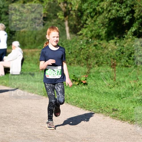 27.09.2026 - 35. Volkslauf durch das schöne Alstertal Dr. Thomas Lammeyer http://msf.ph/oto/10566400 27.09.2026 10:40:07 Laufen 4087 meine-sportfotos.de