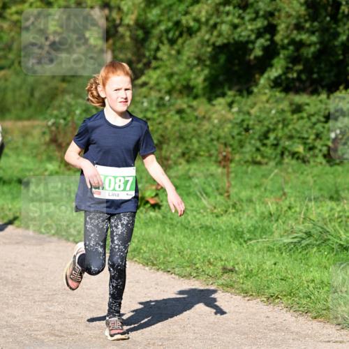 27.09.2026 - 35. Volkslauf durch das schöne Alstertal Dr. Thomas Lammeyer http://msf.ph/oto/10566402 27.09.2026 10:40:07 Laufen 087 meine-sportfotos.de