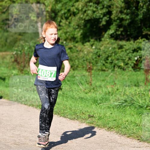 27.09.2026 - 35. Volkslauf durch das schöne Alstertal Dr. Thomas Lammeyer http://msf.ph/oto/10566403 27.09.2026 10:40:08 Laufen 4087 meine-sportfotos.de