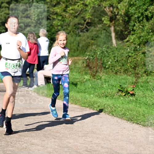 27.09.2026 - 35. Volkslauf durch das schöne Alstertal Dr. Thomas Lammeyer http://msf.ph/oto/10566407 27.09.2026 10:40:08 Laufen 4032 meine-sportfotos.de