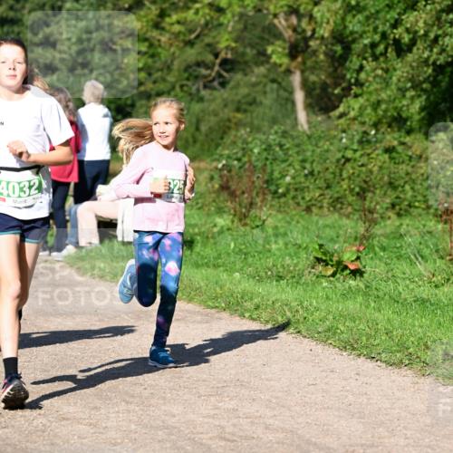 27.09.2026 - 35. Volkslauf durch das schöne Alstertal Dr. Thomas Lammeyer http://msf.ph/oto/10566409 27.09.2026 10:40:08 Laufen 4032 meine-sportfotos.de