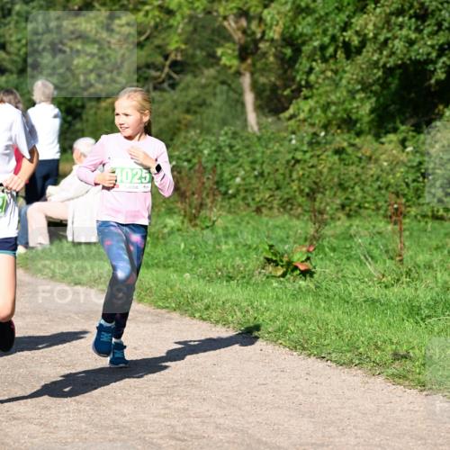 27.09.2026 - 35. Volkslauf durch das schöne Alstertal Dr. Thomas Lammeyer http://msf.ph/oto/10566410 27.09.2026 10:40:09 Laufen 1025 meine-sportfotos.de