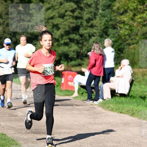 27.09.2026 - 35. Volkslauf durch das schöne Alstertal Dr. Thomas Lammeyer http://msf.ph/oto/10566419 27.09.2026 10:40:12 Laufen 960 meine-sportfotos.de