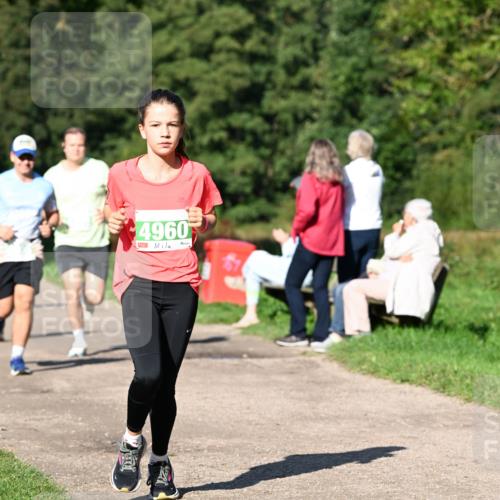 27.09.2026 - 35. Volkslauf durch das schöne Alstertal Dr. Thomas Lammeyer http://msf.ph/oto/10566420 27.09.2026 10:40:12 Laufen 4960 meine-sportfotos.de