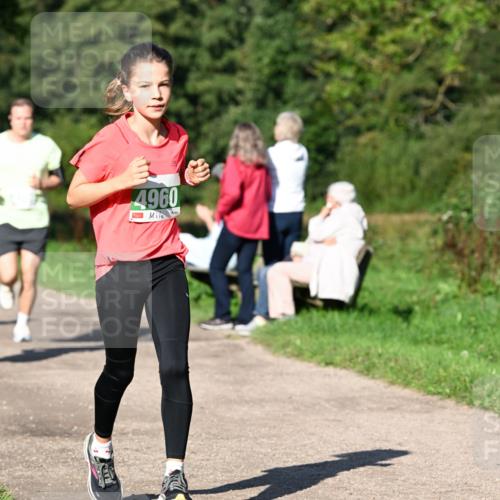 27.09.2026 - 35. Volkslauf durch das schöne Alstertal Dr. Thomas Lammeyer http://msf.ph/oto/10566424 27.09.2026 10:40:12 Laufen 4960 meine-sportfotos.de
