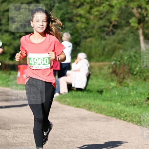 27.09.2026 - 35. Volkslauf durch das schöne Alstertal Dr. Thomas Lammeyer http://msf.ph/oto/10566428 27.09.2026 10:40:12 Laufen 4960 meine-sportfotos.de