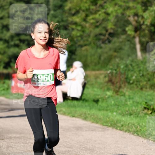 27.09.2026 - 35. Volkslauf durch das schöne Alstertal Dr. Thomas Lammeyer http://msf.ph/oto/10566429 27.09.2026 10:40:13 Laufen 4960 meine-sportfotos.de