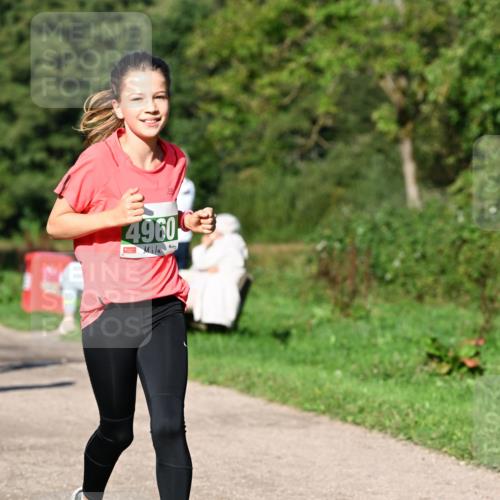 27.09.2026 - 35. Volkslauf durch das schöne Alstertal Dr. Thomas Lammeyer http://msf.ph/oto/10566430 27.09.2026 10:40:13 Laufen 4960 meine-sportfotos.de