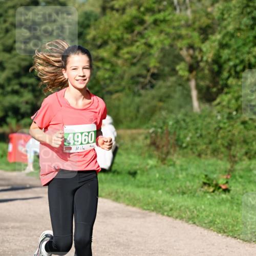 27.09.2026 - 35. Volkslauf durch das schöne Alstertal Dr. Thomas Lammeyer http://msf.ph/oto/10566431 27.09.2026 10:40:13 Laufen 4960 meine-sportfotos.de