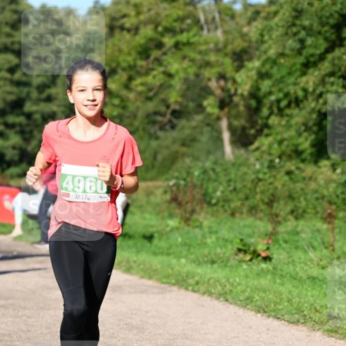 27.09.2026 - 35. Volkslauf durch das schöne Alstertal Dr. Thomas Lammeyer http://msf.ph/oto/10566432 27.09.2026 10:40:13 Laufen 6, 4960 meine-sportfotos.de