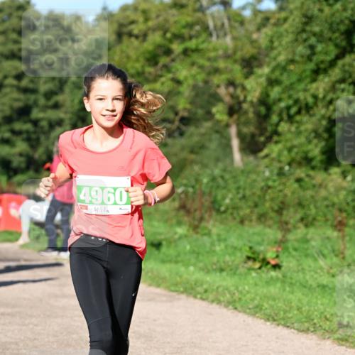 27.09.2026 - 35. Volkslauf durch das schöne Alstertal Dr. Thomas Lammeyer http://msf.ph/oto/10566434 27.09.2026 10:40:13 Laufen 4960 meine-sportfotos.de