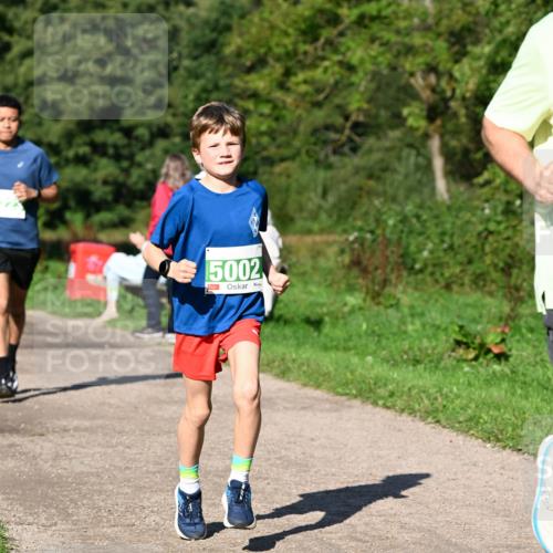 27.09.2026 - 35. Volkslauf durch das schöne Alstertal Dr. Thomas Lammeyer http://msf.ph/oto/10566463 27.09.2026 10:40:17 Laufen 5002 meine-sportfotos.de