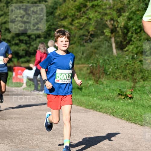 27.09.2026 - 35. Volkslauf durch das schöne Alstertal Dr. Thomas Lammeyer http://msf.ph/oto/10566464 27.09.2026 10:40:18 Laufen 5002 meine-sportfotos.de