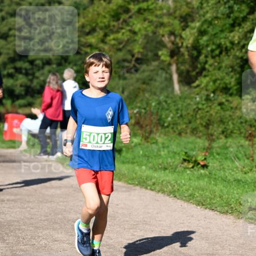 27.09.2026 - 35. Volkslauf durch das schöne Alstertal Dr. Thomas Lammeyer http://msf.ph/oto/10566465 27.09.2026 10:40:18 Laufen 5002 meine-sportfotos.de