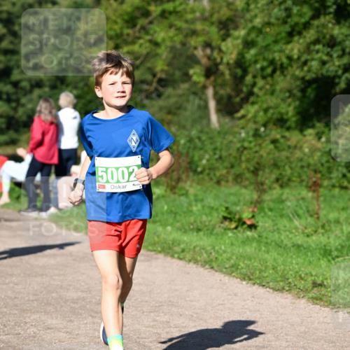 27.09.2026 - 35. Volkslauf durch das schöne Alstertal Dr. Thomas Lammeyer http://msf.ph/oto/10566467 27.09.2026 10:40:18 Laufen 5002 meine-sportfotos.de
