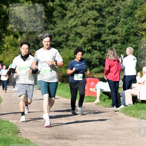 27.09.2026 - 35. Volkslauf durch das schöne Alstertal Dr. Thomas Lammeyer http://msf.ph/oto/10566489 27.09.2026 10:40:22 Laufen 4221, 4142, 4187, 161 meine-sportfotos.de