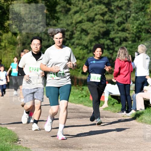 27.09.2026 - 35. Volkslauf durch das schöne Alstertal Dr. Thomas Lammeyer http://msf.ph/oto/10566492 27.09.2026 10:40:22 Laufen 4221, 142, 4187 meine-sportfotos.de