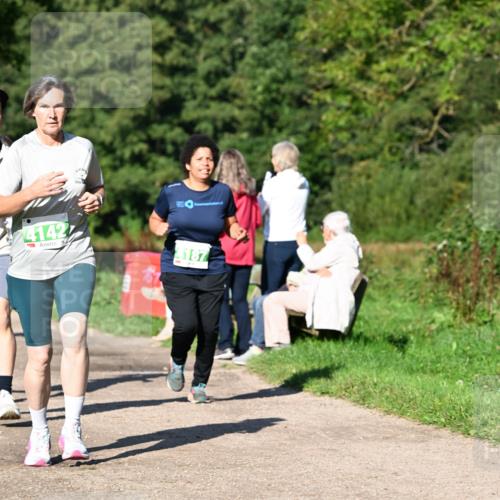 27.09.2026 - 35. Volkslauf durch das schöne Alstertal Dr. Thomas Lammeyer http://msf.ph/oto/10566496 27.09.2026 10:40:23 Laufen 4142, 187 meine-sportfotos.de