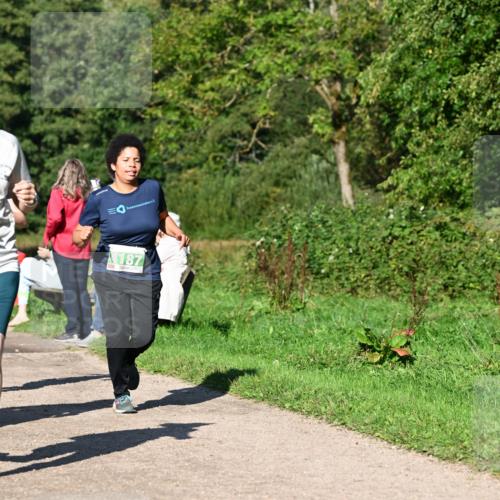 27.09.2026 - 35. Volkslauf durch das schöne Alstertal Dr. Thomas Lammeyer http://msf.ph/oto/10566501 27.09.2026 10:40:24 Laufen 187 meine-sportfotos.de