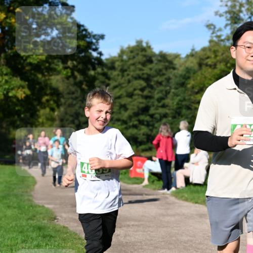 27.09.2026 - 35. Volkslauf durch das schöne Alstertal Dr. Thomas Lammeyer http://msf.ph/oto/10566517 27.09.2026 10:40:26 Laufen 46 meine-sportfotos.de