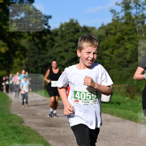 27.09.2026 - 35. Volkslauf durch das schöne Alstertal Dr. Thomas Lammeyer http://msf.ph/oto/10566522 27.09.2026 10:40:27 Laufen 4055 meine-sportfotos.de