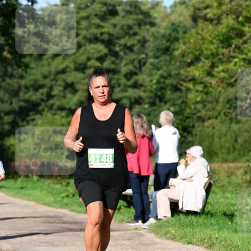 27.09.2026 - 35. Volkslauf durch das schöne Alstertal Dr. Thomas Lammeyer http://msf.ph/oto/10566528 27.09.2026 10:40:28 Laufen 4148 meine-sportfotos.de