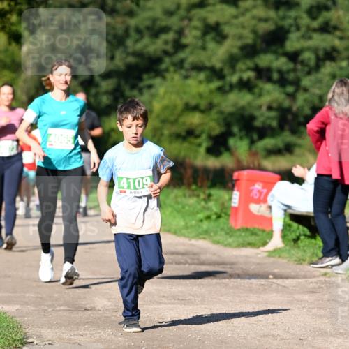 27.09.2026 - 35. Volkslauf durch das schöne Alstertal Dr. Thomas Lammeyer http://msf.ph/oto/10566535 27.09.2026 10:40:30 Laufen 4065, 4109 meine-sportfotos.de