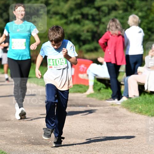 27.09.2026 - 35. Volkslauf durch das schöne Alstertal Dr. Thomas Lammeyer http://msf.ph/oto/10566545 27.09.2026 10:40:31 Laufen 4109 meine-sportfotos.de