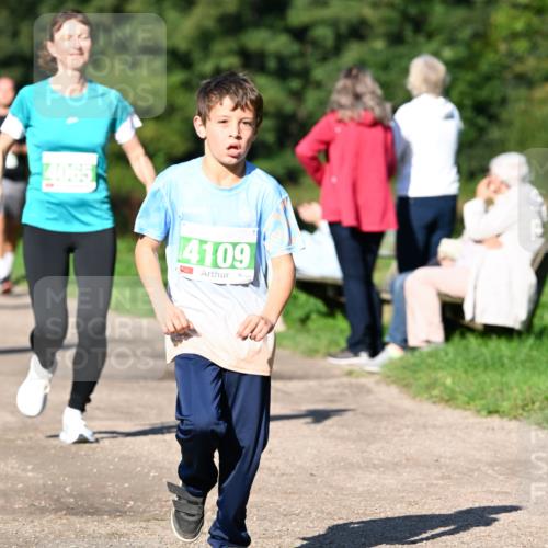 27.09.2026 - 35. Volkslauf durch das schöne Alstertal Dr. Thomas Lammeyer http://msf.ph/oto/10566550 27.09.2026 10:40:31 Laufen 4109 meine-sportfotos.de