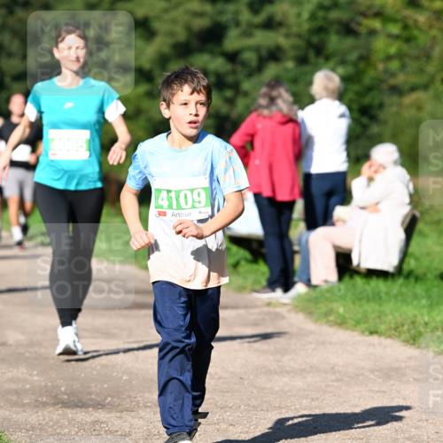 27.09.2026 - 35. Volkslauf durch das schöne Alstertal Dr. Thomas Lammeyer http://msf.ph/oto/10566551 27.09.2026 10:40:31 Laufen 4109 meine-sportfotos.de
