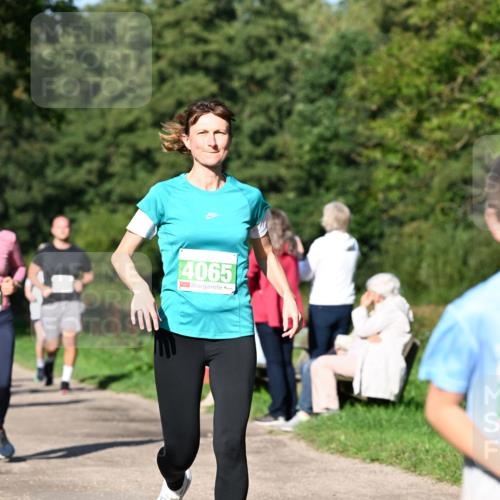 27.09.2026 - 35. Volkslauf durch das schöne Alstertal Dr. Thomas Lammeyer http://msf.ph/oto/10566562 27.09.2026 10:40:33 Laufen 4065 meine-sportfotos.de