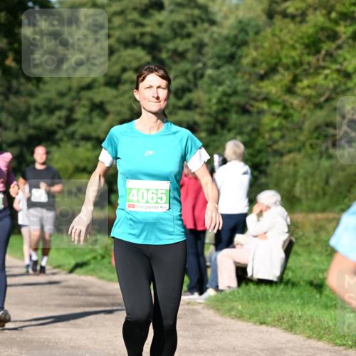 27.09.2026 - 35. Volkslauf durch das schöne Alstertal Dr. Thomas Lammeyer http://msf.ph/oto/10566563 27.09.2026 10:40:33 Laufen 4065 meine-sportfotos.de