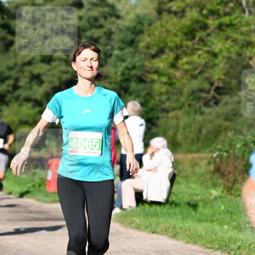 27.09.2026 - 35. Volkslauf durch das schöne Alstertal Dr. Thomas Lammeyer http://msf.ph/oto/10566566 27.09.2026 10:40:34 Laufen 4065 meine-sportfotos.de