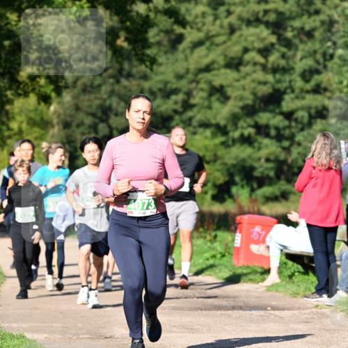 27.09.2026 - 35. Volkslauf durch das schöne Alstertal Dr. Thomas Lammeyer http://msf.ph/oto/10566568 27.09.2026 10:40:35 Laufen 44073 meine-sportfotos.de