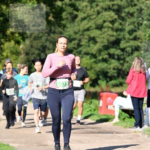 27.09.2026 - 35. Volkslauf durch das schöne Alstertal Dr. Thomas Lammeyer http://msf.ph/oto/10566569 27.09.2026 10:40:35 Laufen 4073 meine-sportfotos.de
