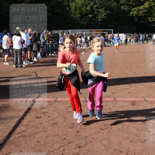 27.09.2026 - 35. Volkslauf durch das schöne Alstertal Strokosch-Dieckow http://msf.ph/oto/10566584 27.09.2026 11:03:47 Ziel 4135, 4136, 4212, 4950 meine-sportfotos.de