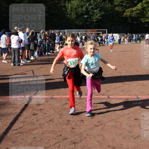 27.09.2026 - 35. Volkslauf durch das schöne Alstertal Strokosch-Dieckow http://msf.ph/oto/10566600 27.09.2026 11:03:47 Ziel 4135, 4136, 4212, 4950 meine-sportfotos.de