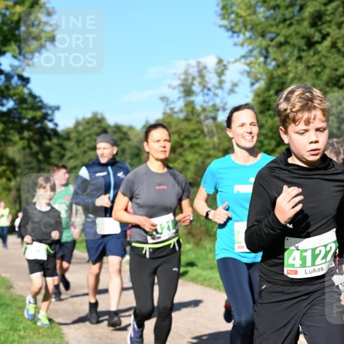 27.09.2026 - 35. Volkslauf durch das schöne Alstertal Dr. Thomas Lammeyer http://msf.ph/oto/10566601 27.09.2026 10:40:43 Laufen 4122 meine-sportfotos.de
