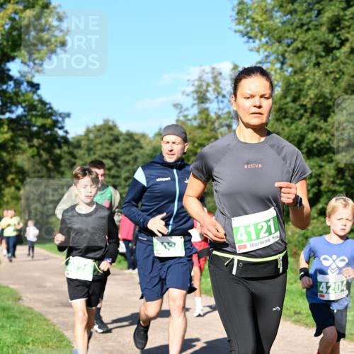 27.09.2026 - 35. Volkslauf durch das schöne Alstertal Dr. Thomas Lammeyer http://msf.ph/oto/10566606 27.09.2026 10:40:44 Laufen 4121, 5, 4204 meine-sportfotos.de